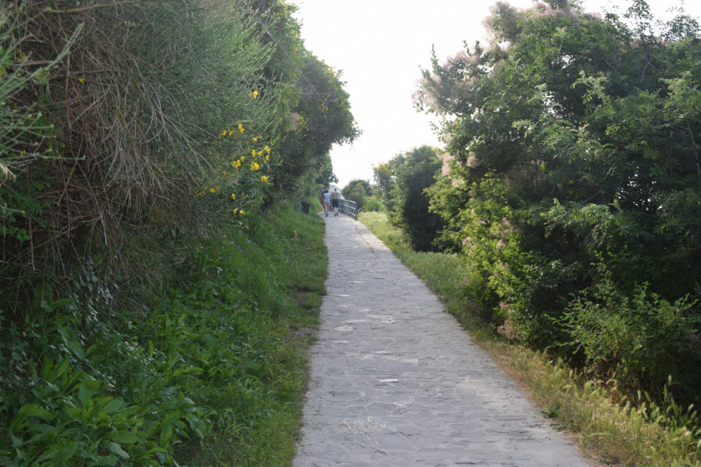 daily e-bike tours along the Slovenian coast