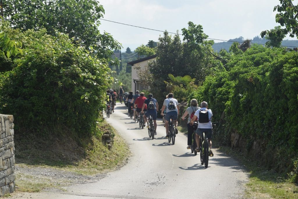 team building z e-kolesi v naravi